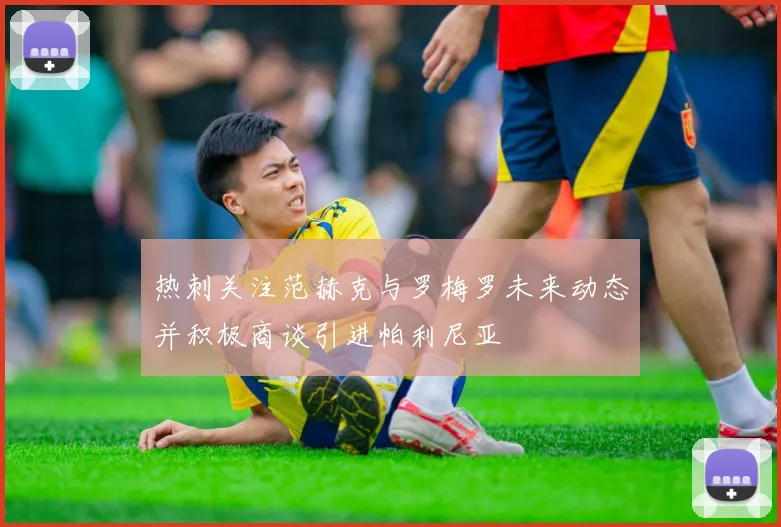 热刺关注范赫克与罗梅罗未来动态并积极商谈引进帕利尼亚